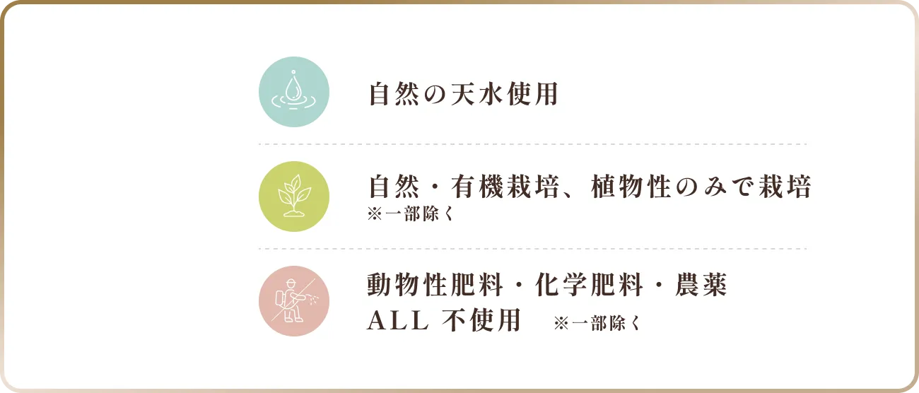 自然の天水使用・有機栽培・農薬不使用