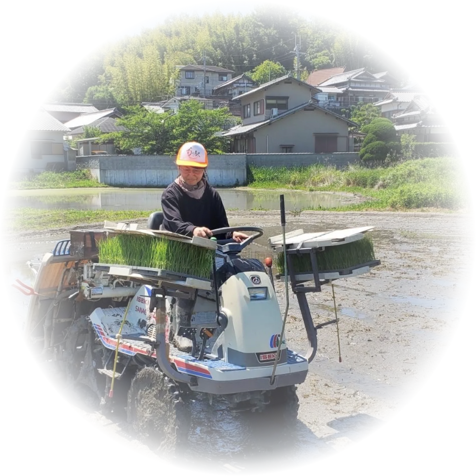農業・地域再生の取り組み