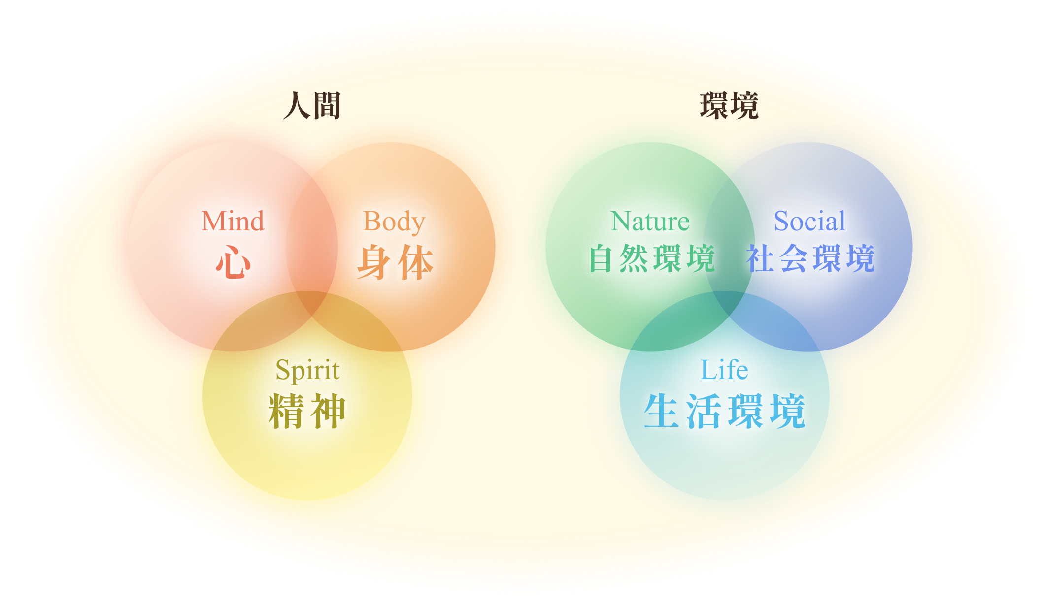 得意分野のベン図